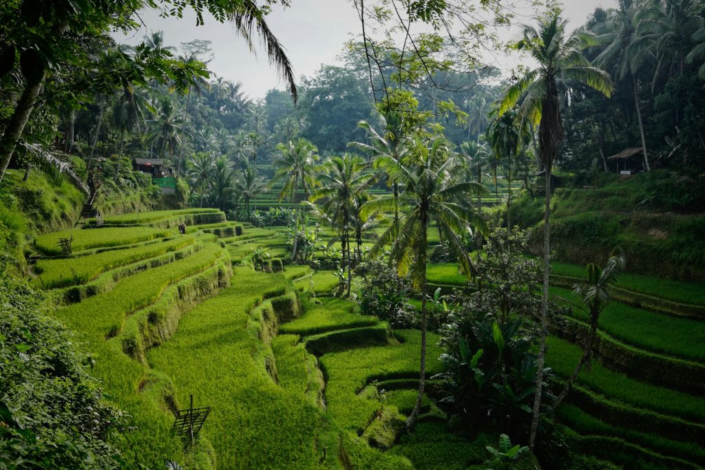 lieux incontournable Bali