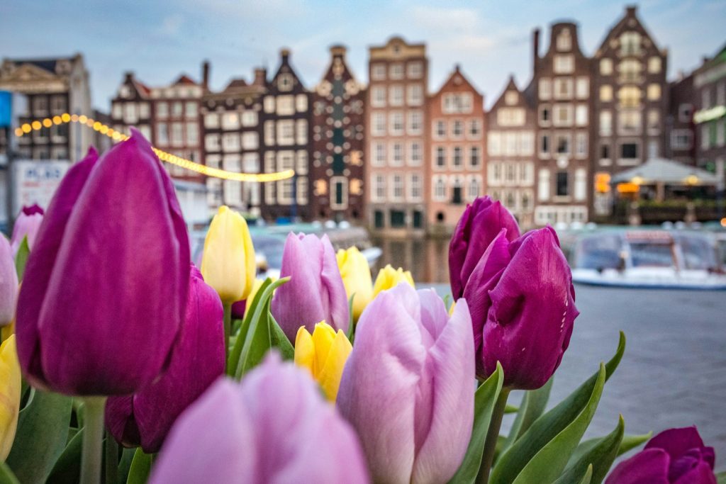 Amsterdam en été