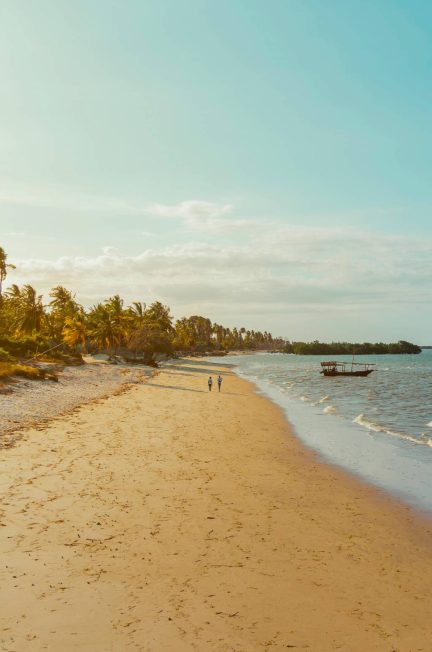 Découvrez Zanzibar et la Tanzanie : Paradis Insulaires et Safaris Inoubliables