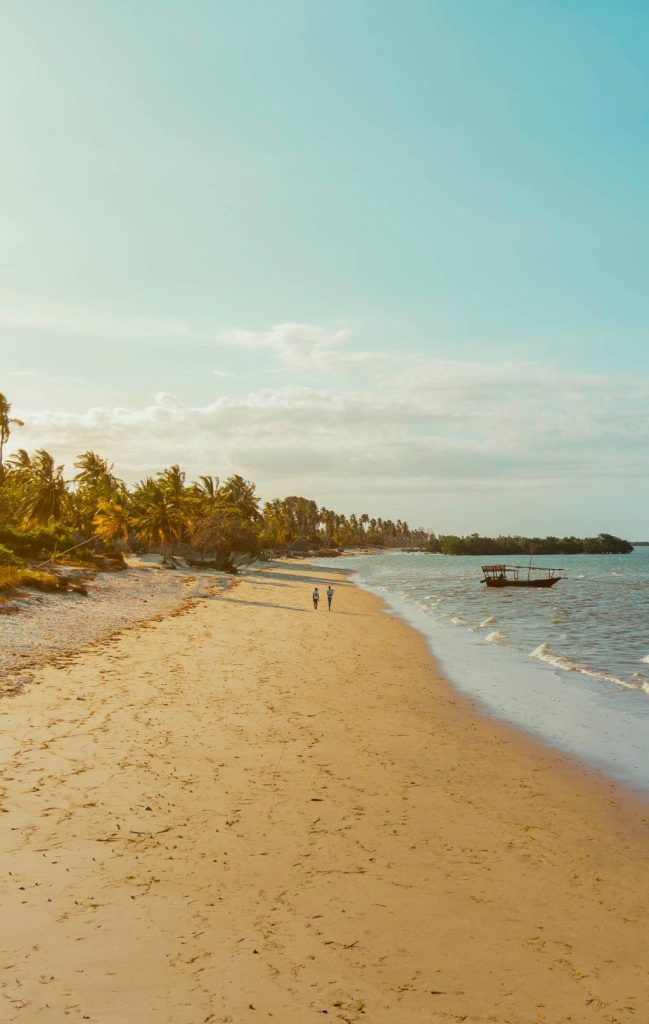 Découvrez Zanzibar et la Tanzanie : Paradis Insulaires et Safaris Inoubliables